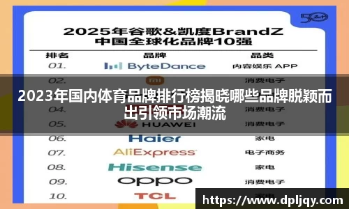 2023年国内体育品牌排行榜揭晓哪些品牌脱颖而出引领市场潮流